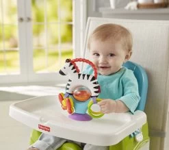 Fisher Price - Activity Zebra - Rammelaar - Speeltje En Bijtring - Grijpspeelgoed -Babyspeelgoed Winkel 1200x1064