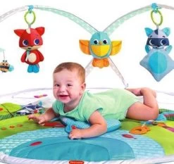 Tiny Love Dynamic Babygym - Meadow Days -Babyspeelgoed Winkel 1200x1134