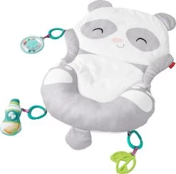 Fisher Price Allesinéén Pandaspeelmat -Babyspeelgoed Winkel 1200x1184
