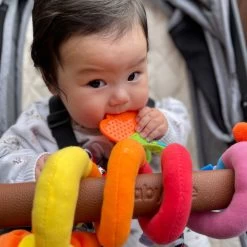 Playgro Boxspiraal Amazing Garden Twirly Whirly - Kinderwagen Speeltje - Activiteitenspiraal -Babyspeelgoed Winkel 1200x1200 222