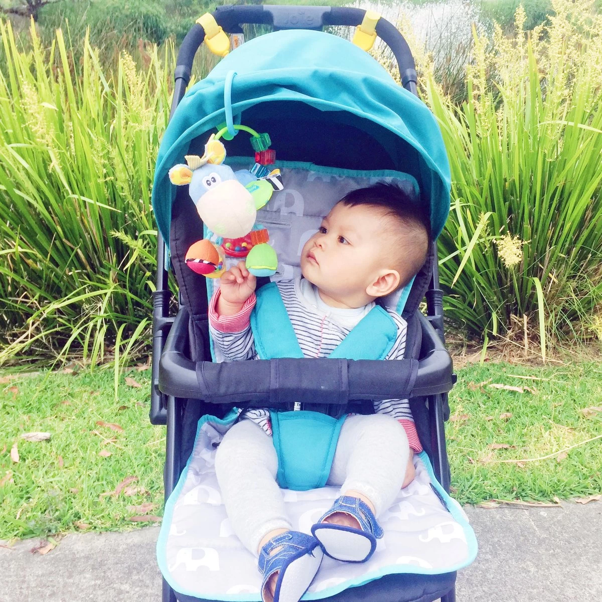 Playgro Clip Clop Rammelaar - Blauw - Activiteitenspeeltje - Kraamkado 3 Playgro Clip Clop Rammelaar - Blauw - Activiteitenspeeltje - Kraamkado - Afbeelding 3