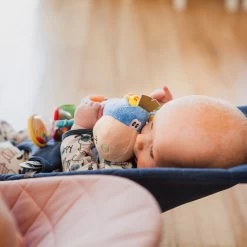 Playgro Clip Clop Rammelaar - Blauw - Activiteitenspeeltje - Kraamkado 23 Playgro Clip Clop Rammelaar - Blauw - Activiteitenspeeltje - Kraamkado -Babyspeelgoed Winkel 1200x1200 271