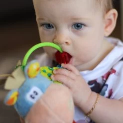 Playgro Clip Clop Rammelaar - Blauw - Activiteitenspeeltje - Kraamkado 25 Playgro Clip Clop Rammelaar - Blauw - Activiteitenspeeltje - Kraamkado -Babyspeelgoed Winkel 1200x1200 273