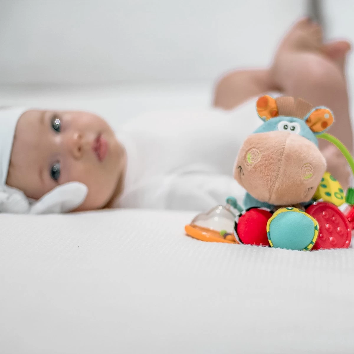 Playgro Clip Clop Rammelaar - Blauw - Activiteitenspeeltje - Kraamkado 12 Playgro Clip Clop Rammelaar - Blauw - Activiteitenspeeltje - Kraamkado - Afbeelding 12