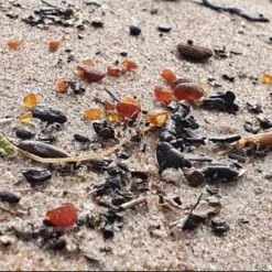 Merkloos Life Fashion - Barnsteen Baby Armband - 12 CM - Cognac - Amber Baby Armband - Pijn Verminderend Doorkomende Tandjes - Barnsteen Lithouwen - Baltisch Barnsteen -Babyspeelgoed Winkel 1200x1200 571