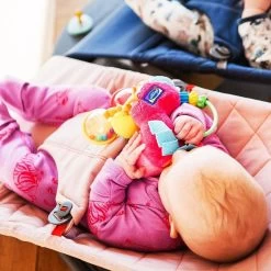 Playgro Clip Clop Rammelaar - Roze - Activiteitenspeeltje - Kraamkado 29 Playgro Clip Clop Rammelaar - Roze - Activiteitenspeeltje - Kraamkado -Babyspeelgoed Winkel 1200x1200 64