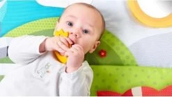 Tiny Love Supermat Speelmat - Meadow Days -Babyspeelgoed Winkel 1200x678