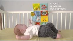 Taf Toys Activity Center Voor Aan De Box, Campingbed Of Los Te Gebruiken, Met Muziek En Licht – 0 Tot 24 Maanden -Babyspeelgoed Winkel 1200x682