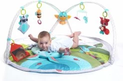 Tiny Love Dynamic Babygym - Meadow Days -Babyspeelgoed Winkel 1200x796 2