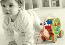 Hape Houten Walk-A-Long Slak Trekdier -Babyspeelgoed Winkel 1200x829