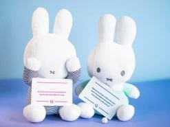 Huisje Boompje Gesprekje - Het Gespreksspel Voor Aanstaande Of Kersverse Ouders | Kraam Cadeau | Zwanger Cadeau | Babyshower Cadeau | Zwangerschap Cadeau -Babyspeelgoed Winkel 1200x900 9