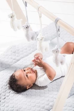 Jollein Babygym Speeltjes - Moon - Nougat - 4 Stuks 35 Jollein Babygym Speeltjes - Moon - Nougat - 4 Stuks -Babyspeelgoed Winkel 801x1200 4
