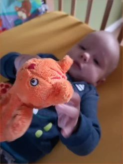 Babyspeelgoed Winkel 12 Babyspeelgoed Winkel -Babyspeelgoed Winkel 900x1200 1