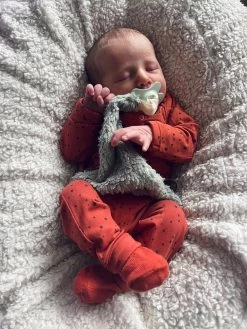 Louka Speendoekje Driehoek Teddy Groen - Teddy Katoen - Speenknuffel - Excl. Bibs Speen -Babyspeelgoed Winkel 901x1200 2